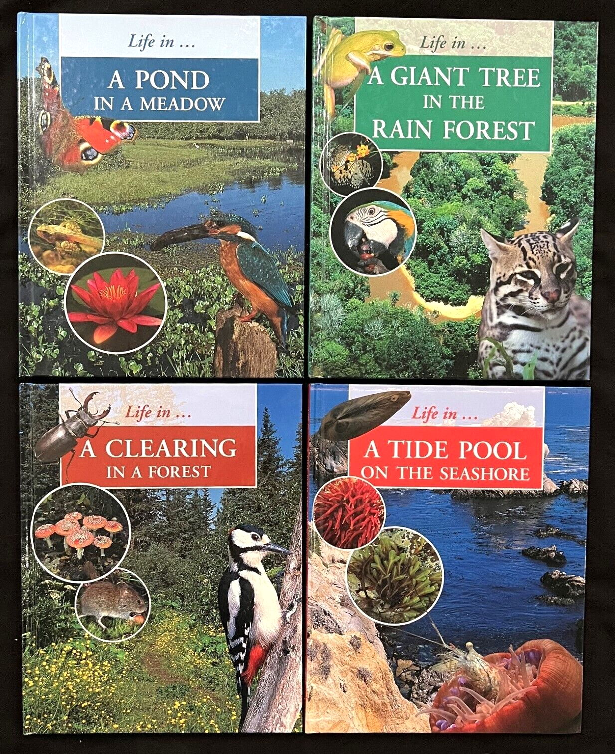 2nd - 4th Grades - SCIENCE - LIFE IN... Series (4 book set) (2000, Sally Morgan)